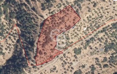 Tek Tapu! İzmir Tire Küçükburunda Satılık İncirlikZey.Yolu Var