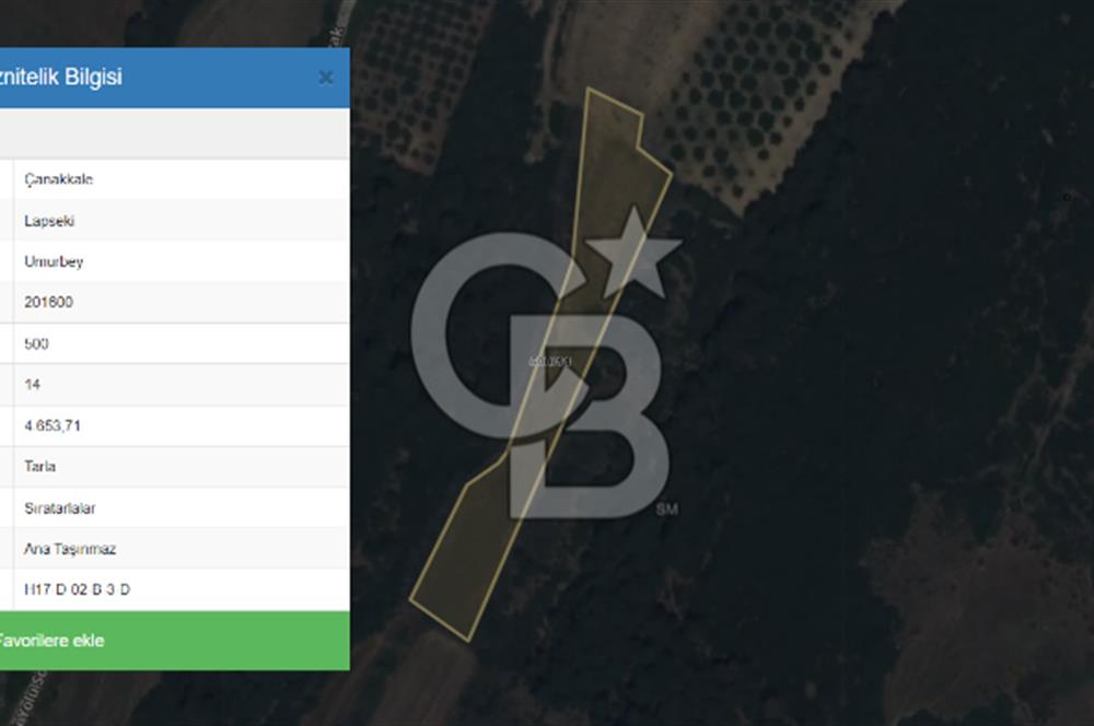 ÇANAKKALE LAPSEKİ UMURBEY’DE HİSSELİ TAPU – PARÇA PARÇA VEYA TAMAMI SATILIK TARLA