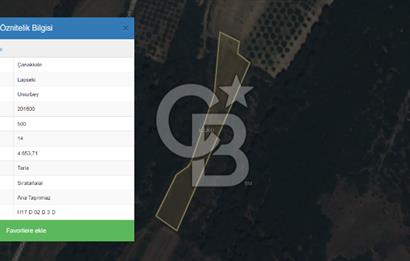 ÇANAKKALE LAPSEKİ UMURBEY’DE HİSSELİ TAPU – PARÇA PARÇA VEYA TAMAMI SATILIK TARLA