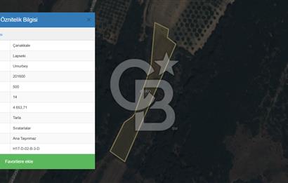 ÇANAKKALE LAPSEKİ UMURBEY’DE HİSSELİ TAPU – PARÇA PARÇA VEYA TAMAMI SATILIK TARLA