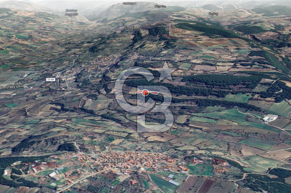 ÇANAKKALE LAPSEKİ UMURBEY’DE HİSSELİ TAPU – PARÇA PARÇA VEYA TAMAMI SATILIK TARLA