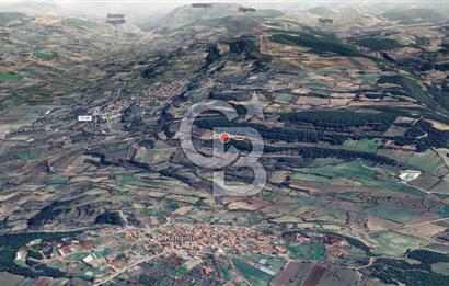 ÇANAKKALE LAPSEKİ UMURBEY’DE HİSSELİ TAPU – PARÇA PARÇA VEYA TAMAMI SATILIK TARLA