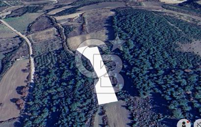 ÇANAKKALE LAPSEKİ UMURBEY’DE HİSSELİ TAPU – PARÇA PARÇA VEYA TAMAMI SATILIK TARLA