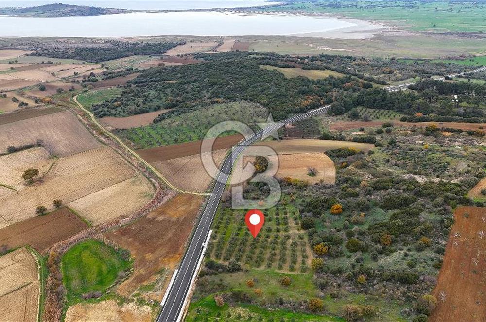 Çanakkale Merkez Büyükanafarta’da Asfalt Yola Cepheli 4.225 m² Tarla