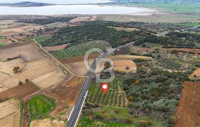 Çanakkale Merkez Büyükanafarta’da Asfalt Yola Cepheli 4.225 m² Tarla