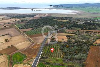 Çanakkale Merkez Büyükanafarta’da Asfalt Yola Cepheli 4.225 m² Tarla - 1 - 326756