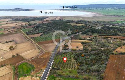 Çanakkale Merkez Büyükanafarta’da Asfalt Yola Cepheli 4.225 m² Tarla