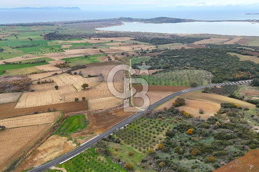 Çanakkale Merkez Büyükanafarta’da Asfalt Yola Cepheli 4.225 m² Tarla