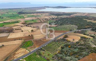 Çanakkale Merkez Büyükanafarta’da Asfalt Yola Cepheli 4.225 m² Tarla