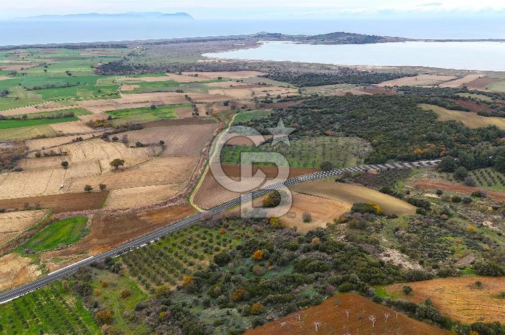 Çanakkale Merkez Büyükanafarta’da Asfalt Yola Cepheli 4.225 m² Tarla