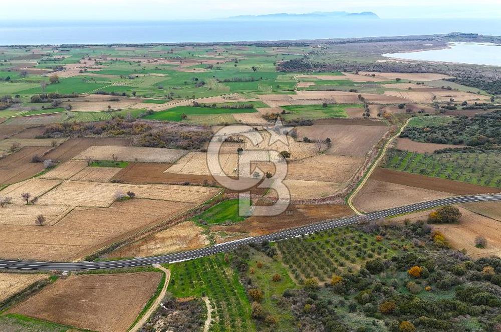 Çanakkale Merkez Büyükanafarta’da Asfalt Yola Cepheli 4.225 m² Tarla