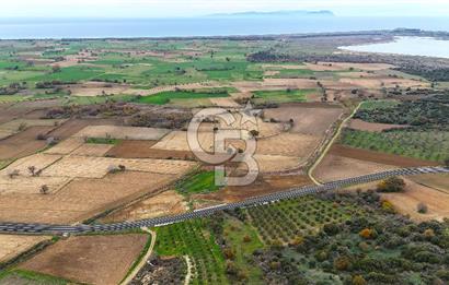 Çanakkale Merkez Büyükanafarta’da Asfalt Yola Cepheli 4.225 m² Tarla