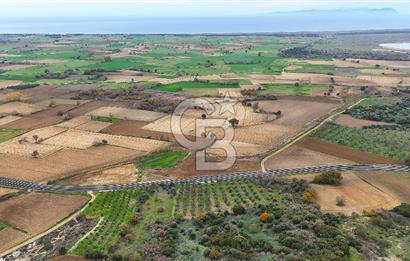 Çanakkale Merkez Büyükanafarta’da Asfalt Yola Cepheli 4.225 m² Tarla