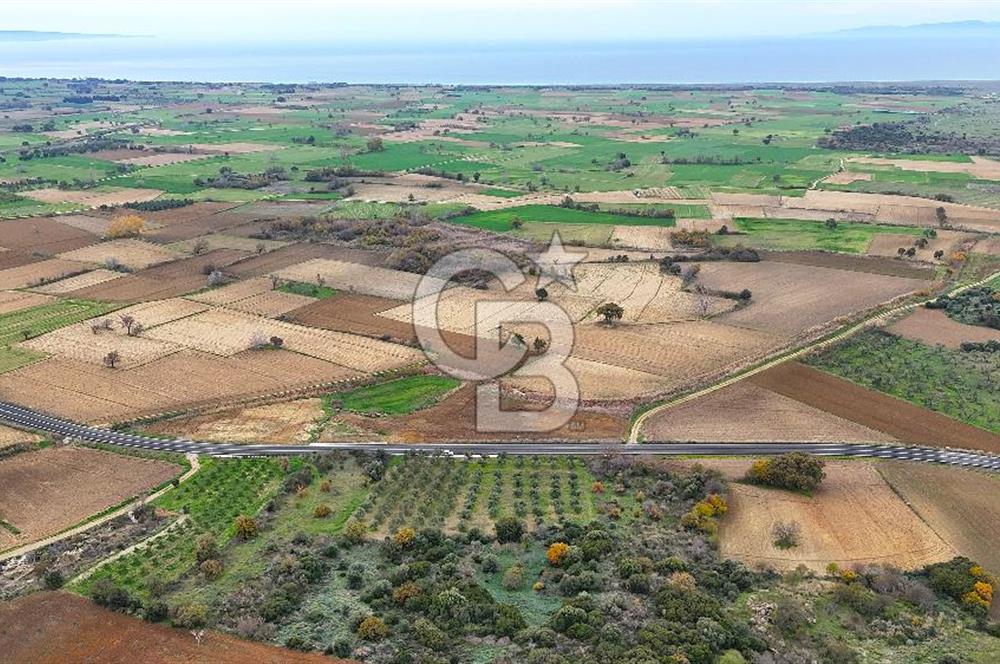 Çanakkale Merkez Büyükanafarta’da Asfalt Yola Cepheli 4.225 m² Tarla