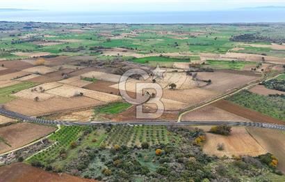 Çanakkale Merkez Büyükanafarta’da Asfalt Yola Cepheli 4.225 m² Tarla