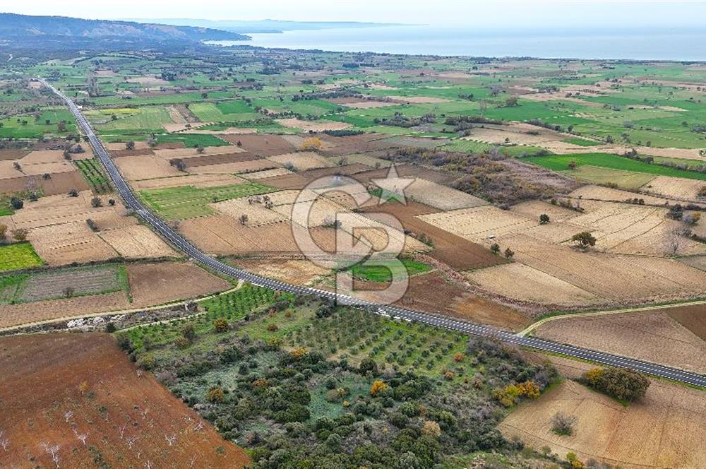 Çanakkale Merkez Büyükanafarta’da Asfalt Yola Cepheli 4.225 m² Tarla