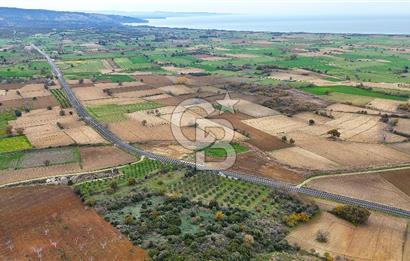 Çanakkale Merkez Büyükanafarta’da Asfalt Yola Cepheli 4.225 m² Tarla