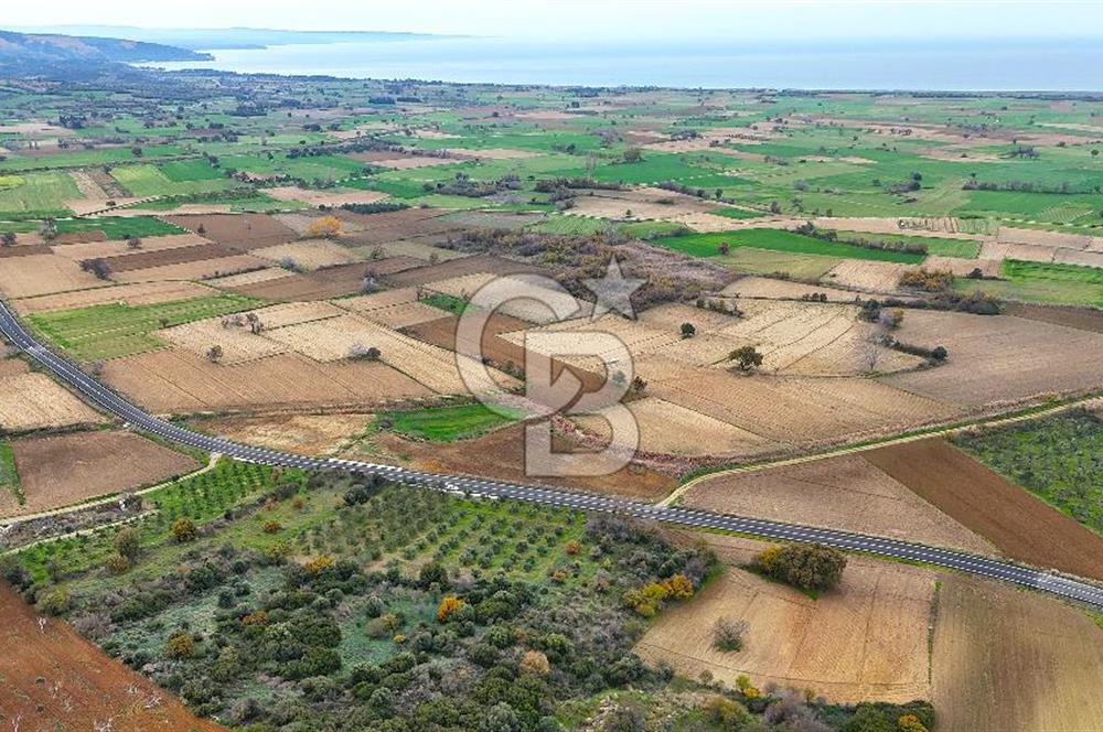 Çanakkale Merkez Büyükanafarta’da Asfalt Yola Cepheli 4.225 m² Tarla