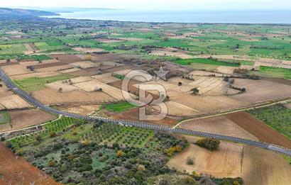 Çanakkale Merkez Büyükanafarta’da Asfalt Yola Cepheli 4.225 m² Tarla