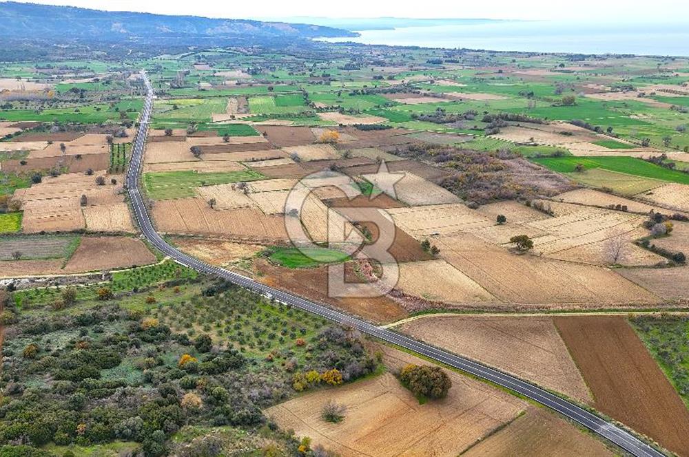 Çanakkale Merkez Büyükanafarta’da Asfalt Yola Cepheli 4.225 m² Tarla