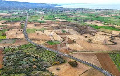 Çanakkale Merkez Büyükanafarta’da Asfalt Yola Cepheli 4.225 m² Tarla