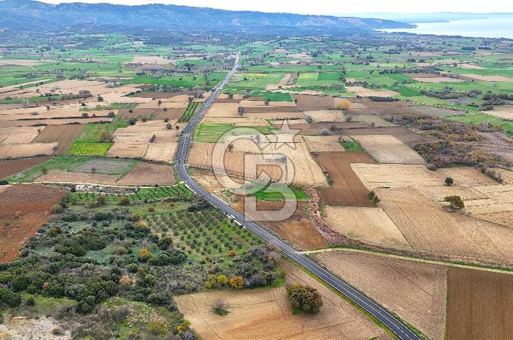 Çanakkale Merkez Büyükanafarta’da Asfalt Yola Cepheli 4.225 m² Tarla