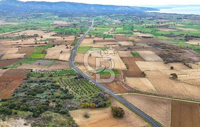Çanakkale Merkez Büyükanafarta’da Asfalt Yola Cepheli 4.225 m² Tarla