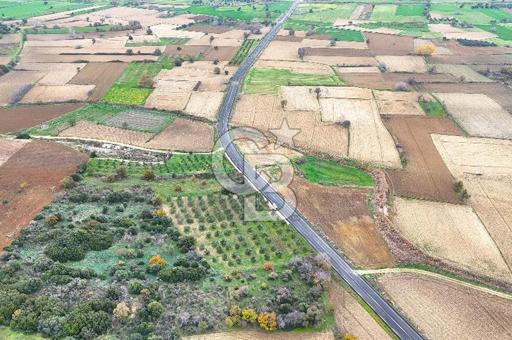 Çanakkale Merkez Büyükanafarta’da Asfalt Yola Cepheli 4.225 m² Tarla