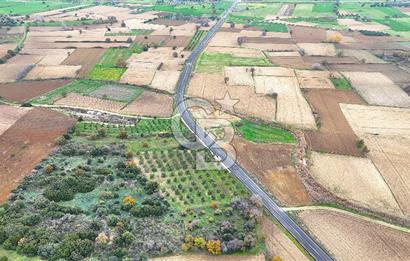 Çanakkale Merkez Büyükanafarta’da Asfalt Yola Cepheli 4.225 m² Tarla