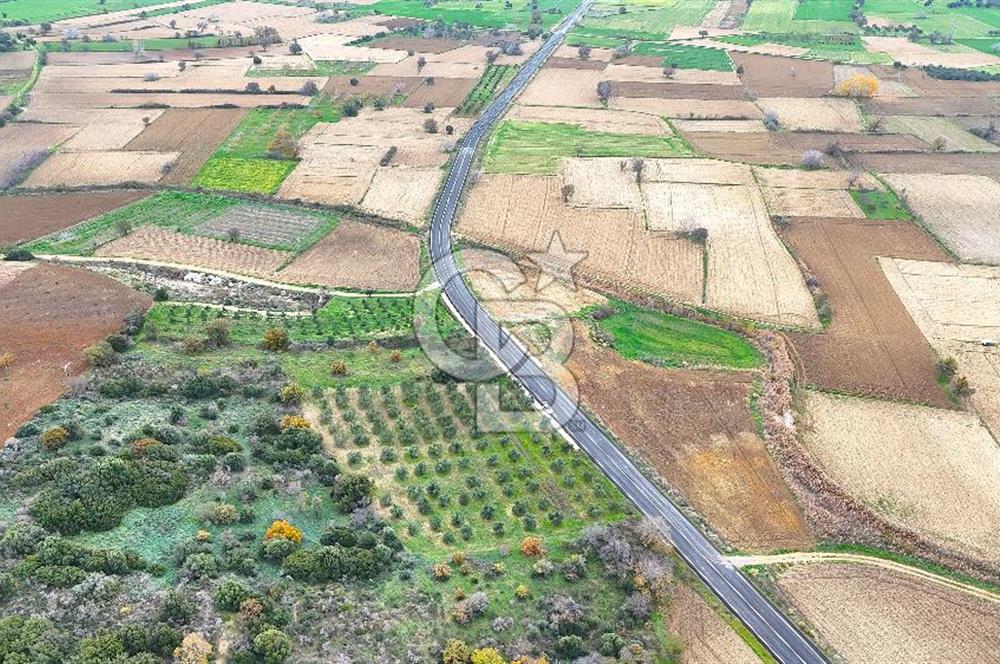 Çanakkale Merkez Büyükanafarta’da Asfalt Yola Cepheli 4.225 m² Tarla