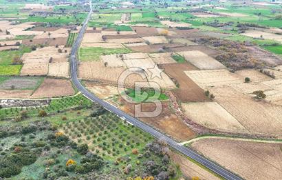 Çanakkale Merkez Büyükanafarta’da Asfalt Yola Cepheli 4.225 m² Tarla