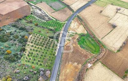 Çanakkale Merkez Büyükanafarta’da Asfalt Yola Cepheli 4.225 m² Tarla