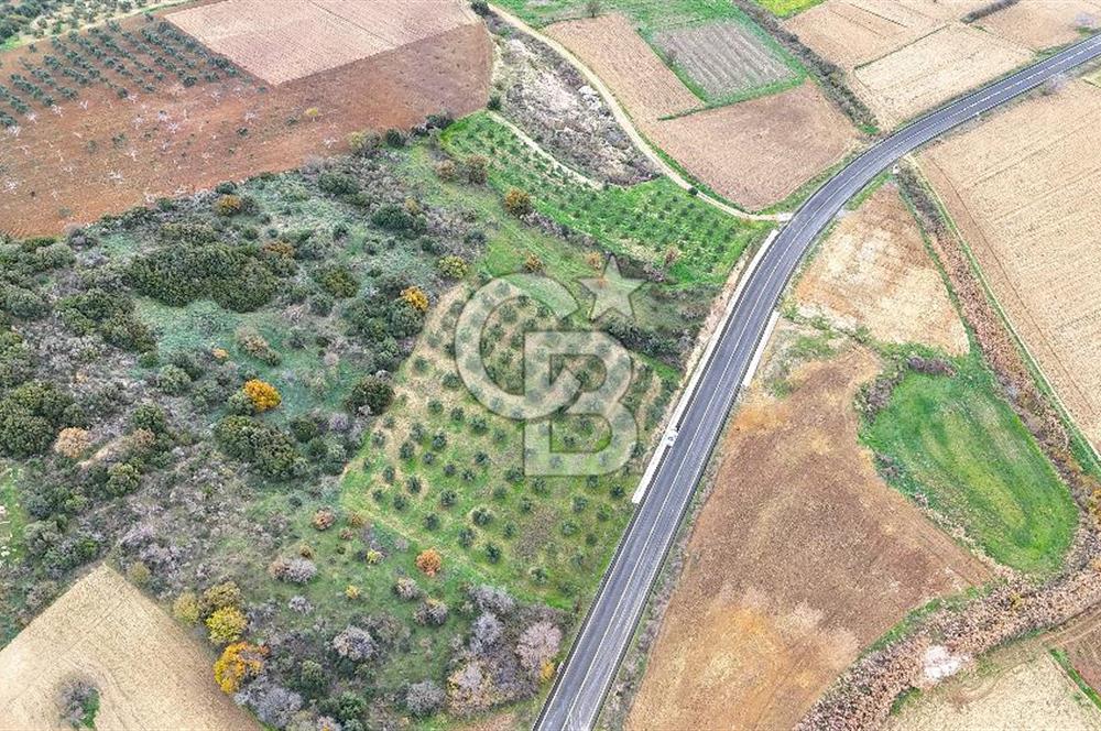 Çanakkale Merkez Büyükanafarta’da Asfalt Yola Cepheli 4.225 m² Tarla