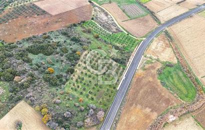 Çanakkale Merkez Büyükanafarta’da Asfalt Yola Cepheli 4.225 m² Tarla