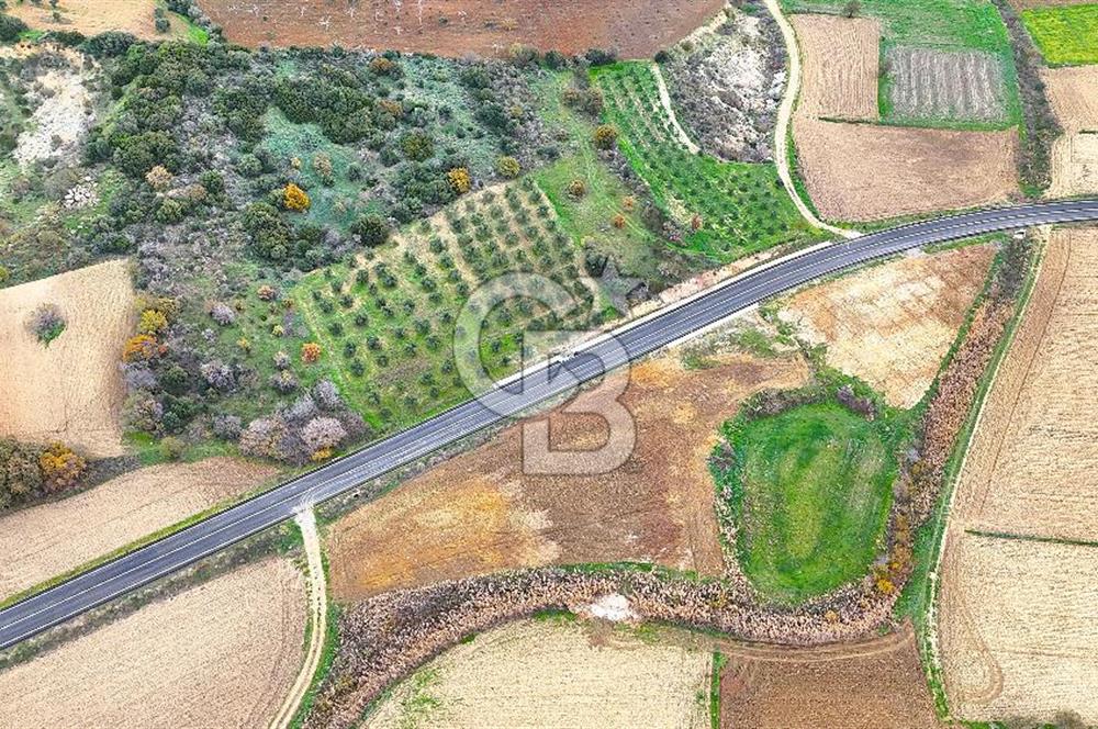 Çanakkale Merkez Büyükanafarta’da Asfalt Yola Cepheli 4.225 m² Tarla