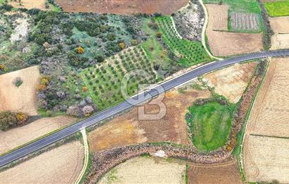 Çanakkale Merkez Büyükanafarta’da Asfalt Yola Cepheli 4.225 m² Tarla