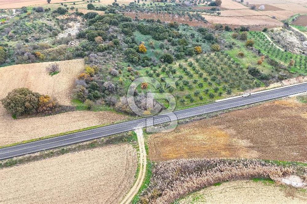 Çanakkale Merkez Büyükanafarta’da Asfalt Yola Cepheli 4.225 m² Tarla