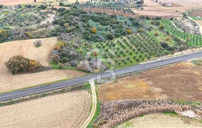 Çanakkale Merkez Büyükanafarta’da Asfalt Yola Cepheli 4.225 m² Tarla