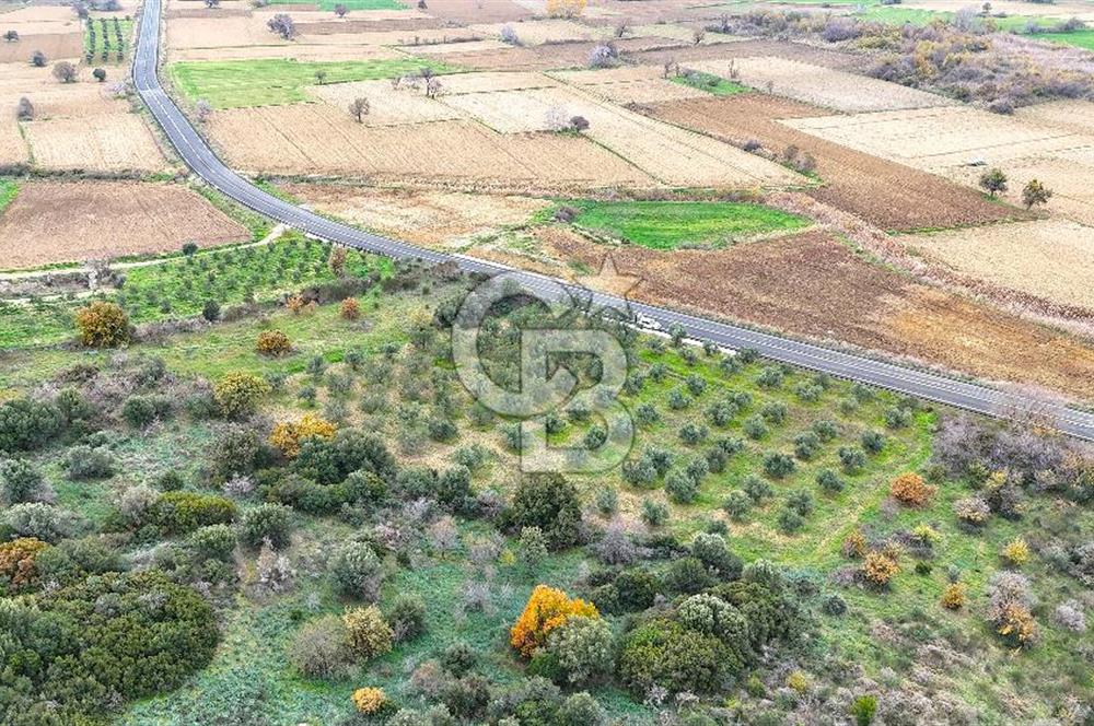 Çanakkale Merkez Büyükanafarta’da Asfalt Yola Cepheli 4.225 m² Tarla