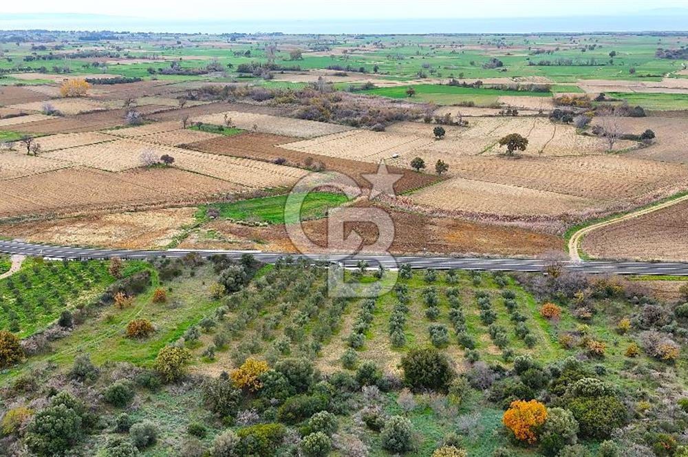 Çanakkale Merkez Büyükanafarta’da Asfalt Yola Cepheli 4.225 m² Tarla
