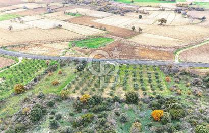 Çanakkale Merkez Büyükanafarta’da Asfalt Yola Cepheli 4.225 m² Tarla