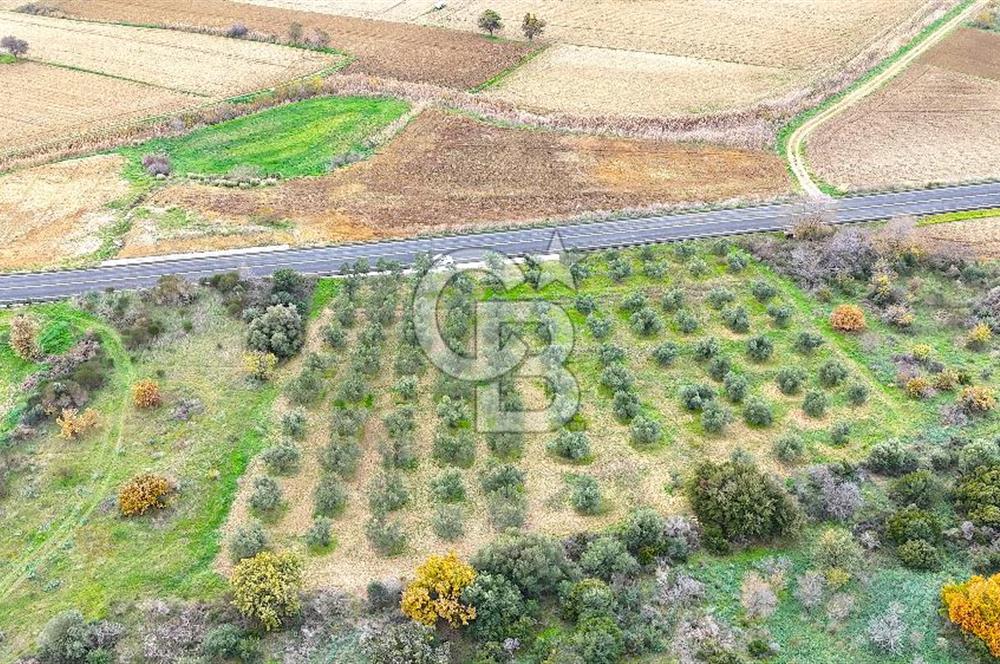 Çanakkale Merkez Büyükanafarta’da Asfalt Yola Cepheli 4.225 m² Tarla