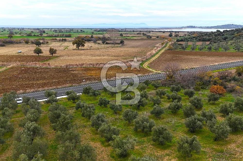 Çanakkale Merkez Büyükanafarta’da Asfalt Yola Cepheli 4.225 m² Tarla