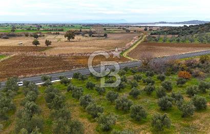 Çanakkale Merkez Büyükanafarta’da Asfalt Yola Cepheli 4.225 m² Tarla