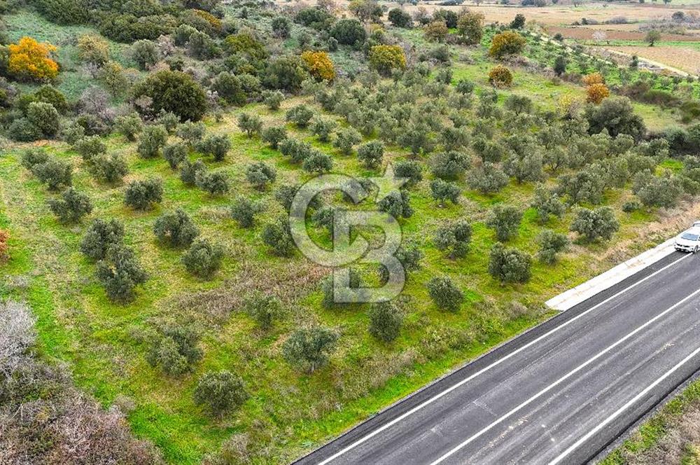 Çanakkale Merkez Büyükanafarta’da Asfalt Yola Cepheli 4.225 m² Tarla