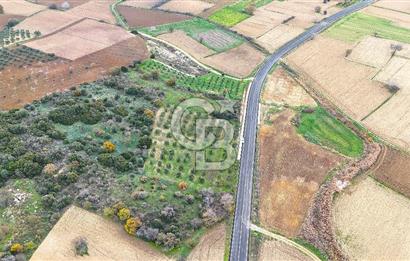 Çanakkale Merkez Büyükanafarta’da Asfalt Yola Cepheli 4.225 m² Tarla