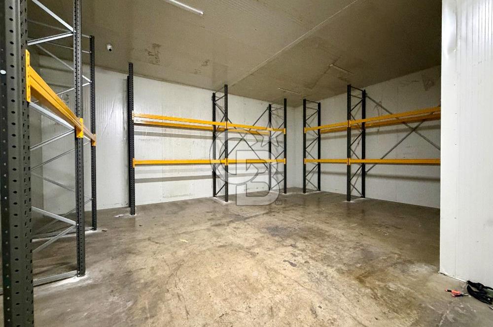 BORNOVA IŞIKKENT' TE KİRALIK 2800 M2 KİRALIK DEPO