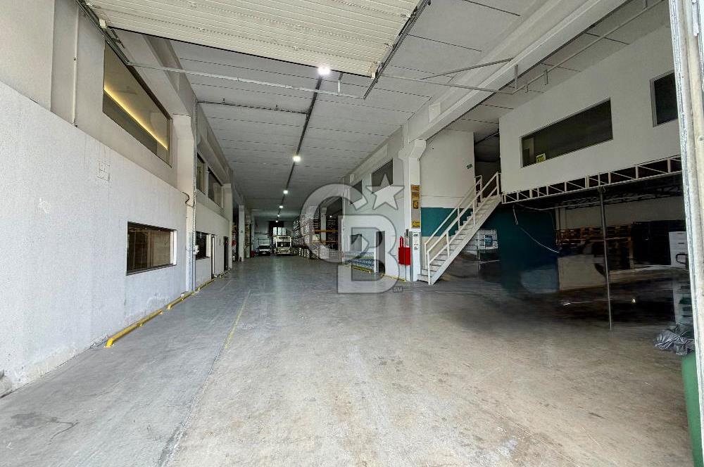 BORNOVA IŞIKKENT' TE KİRALIK 2800 M2 KİRALIK DEPO