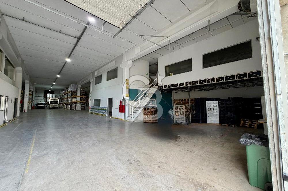 BORNOVA IŞIKKENT' TE KİRALIK 2800 M2 KİRALIK DEPO