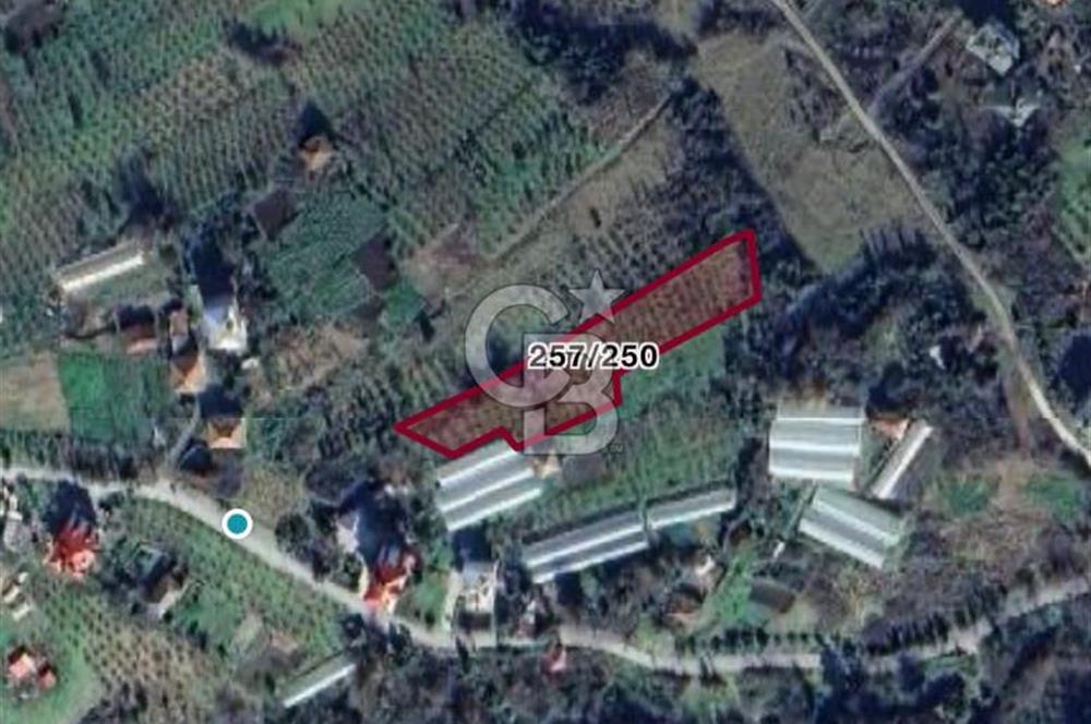 COLDWELL BANKER NET GAYRİMENKUL'DEN 2947 M2 SATILIK ARSA